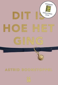 Dit is hoe het ging