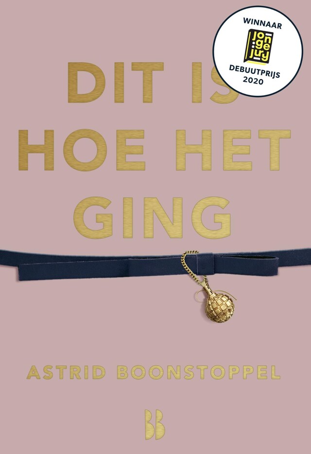 Book cover for Dit is hoe het ging