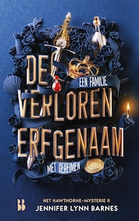 De verloren erfgenaam