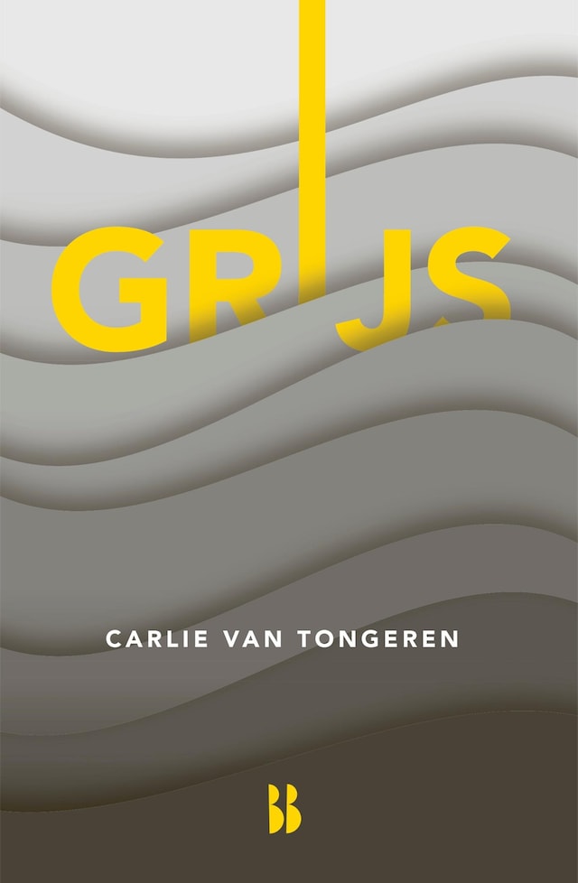 Book cover for Grijs