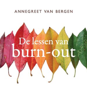 De lessen van burn-out - luisterboek