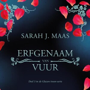 Erfgenaam van vuur - luisterboek