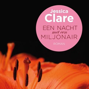 Een nacht met een miljonair - luisterboek