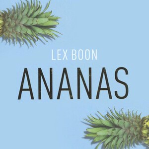 Ananas - luisterboek