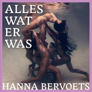 Alles wat er was - luisterboek