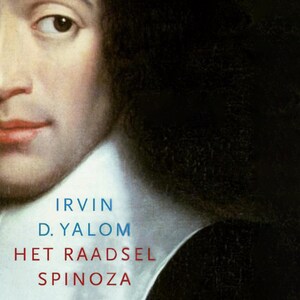 Het raadsel Spinoza - luisterboek