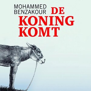 De koning komt - luisterboek