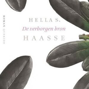 De verborgen bron - luisterboek