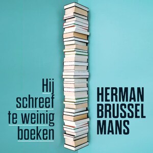 Hij schreef te weinig boeken - luisterboek