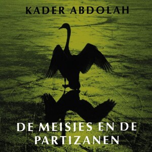 De meisjes en de partizanen - luisterboek
