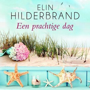 Een prachtige dag - luisterboek