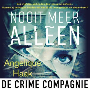 Nooit meer alleen - luisterboek