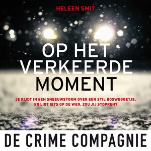 Op het verkeerde moment - luisterboek