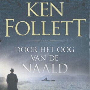 Door het oog van de naald - luisterboek