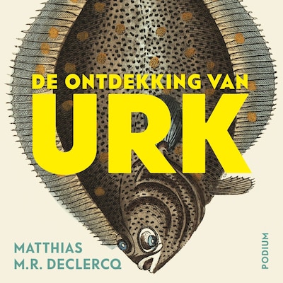 De ontdekking van Urk