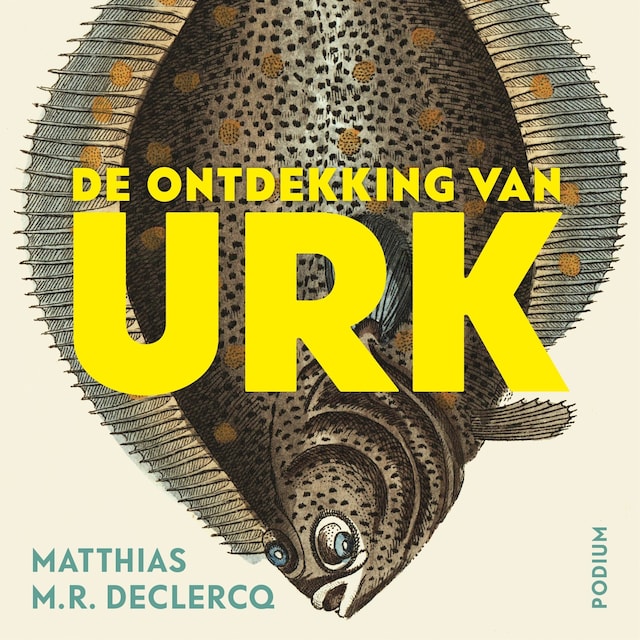 Boekomslag van De ontdekking van Urk