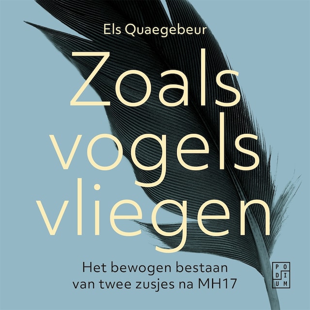 Book cover for Zoals vogels vliegen