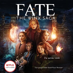 De eerste vonk - luisterboek