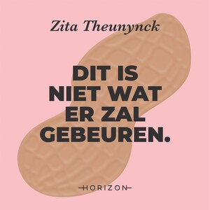 Dit is niet wat er zal gebeuren. - luisterboek