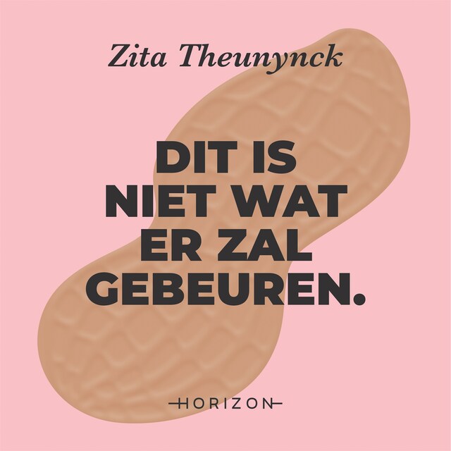 Bokomslag för Dit is niet wat er zal gebeuren.