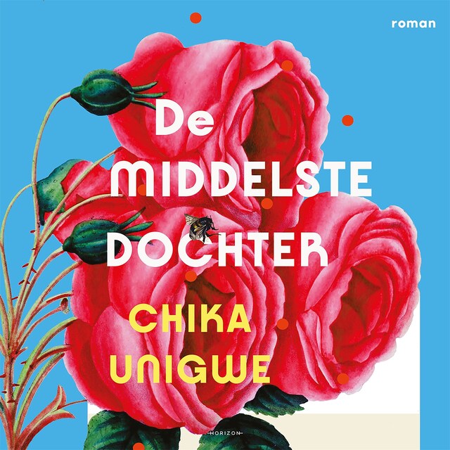 Couverture de livre pour De middelste dochter