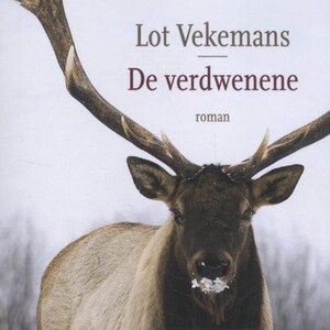 De verdwenene - luisterboek