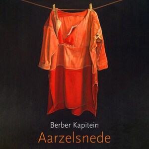 Aarzelsnede - luisterboek