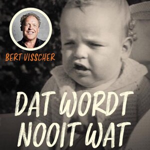 Dat wordt nooit wat - luisterboek