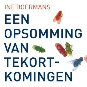 Een opsomming van tekortkomingen - luisterboek