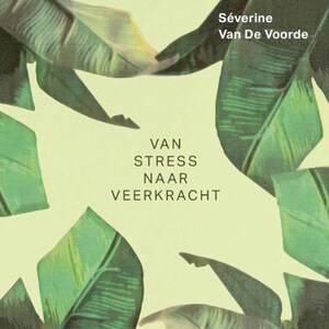 Van stress naar veerkracht - luisterboek