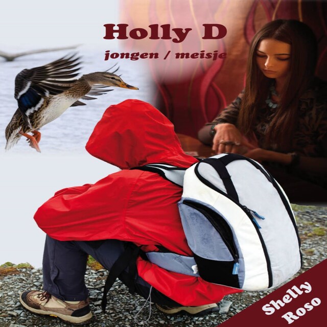 Book cover for Holly D
