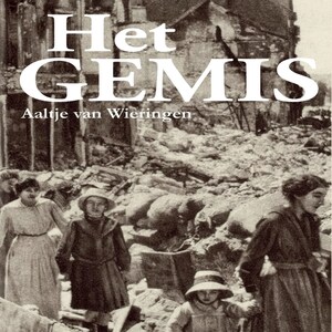 Het gemis - luisterboek