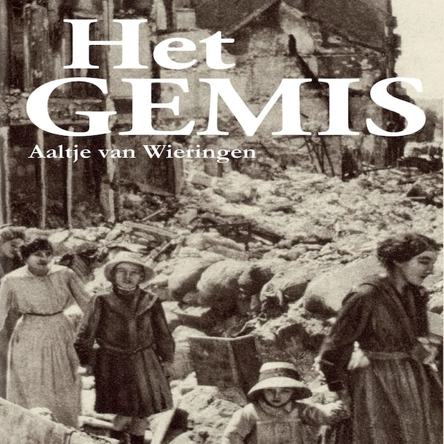 Book cover for Het gemis