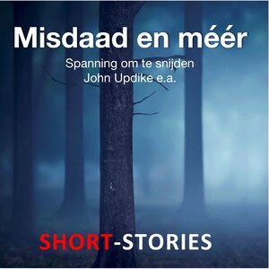 Misdaad en méér - luisterboek