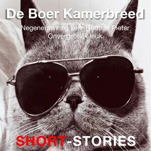 De Boer Kamerbreed - luisterboek