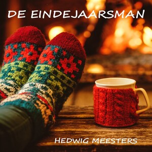 De eindejaarsman - luisterboek