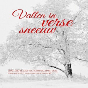 Vallen in verse sneeuw - luisterboek