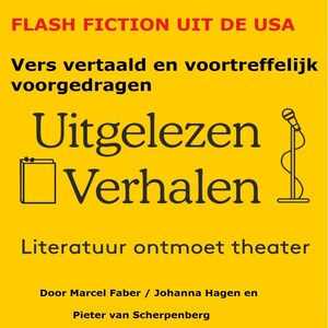 Flash fiction uit de USA - luisterboek