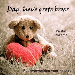 Dag lieve grote broer - luisterboek