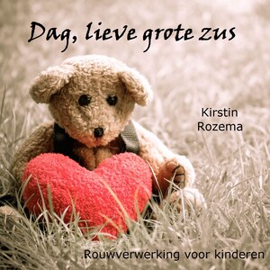 Dag lieve grote zus - luisterboek