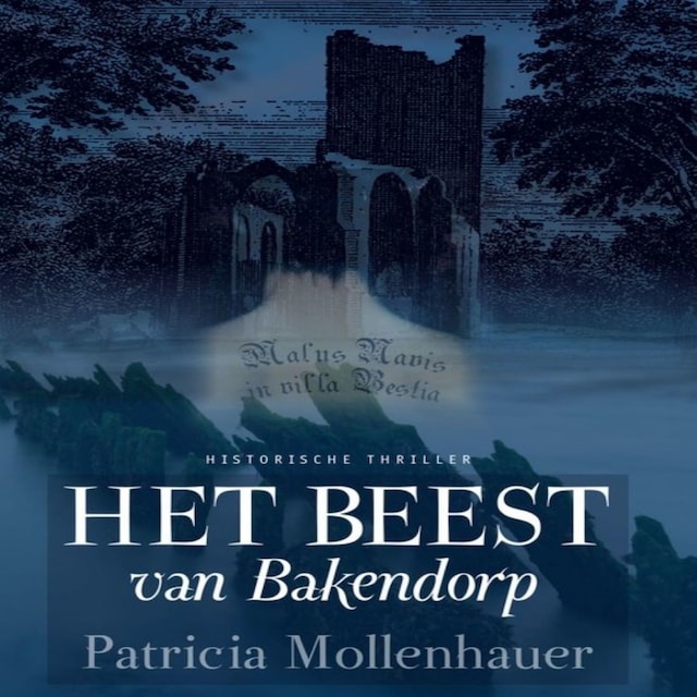 Book cover for Het beest van Bakendorp