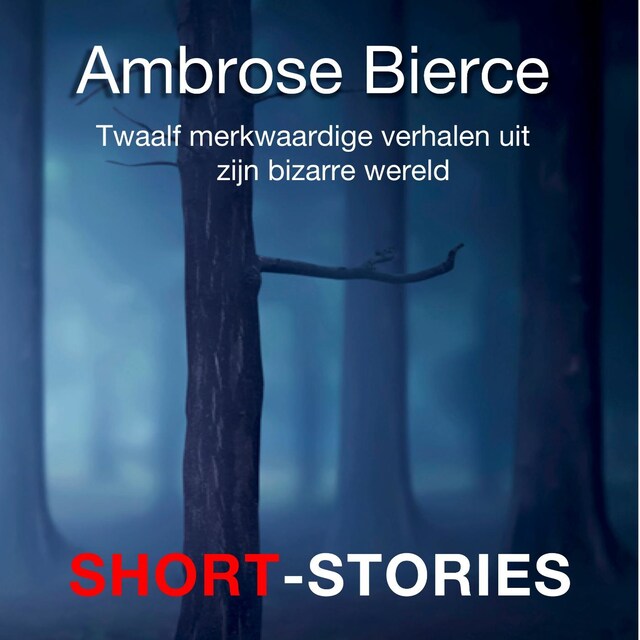 Book cover for Bizarre wereld