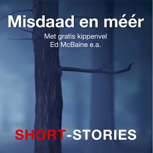 Misdaad en meer - luisterboek