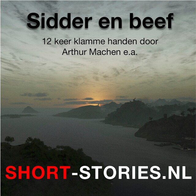 Book cover for Sidder en beef