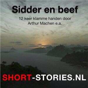 Sidder en beef - luisterboek