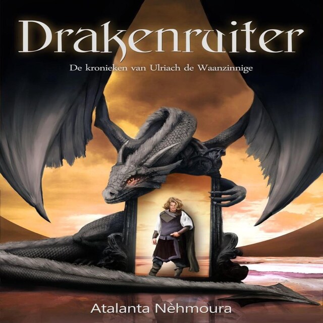 Book cover for Drakenruiter