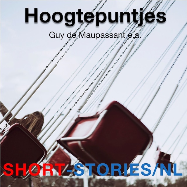 Book cover for Hoogtepuntjes