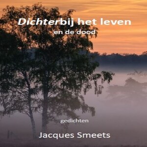 Dichterbij het leven en de dood - luisterboek