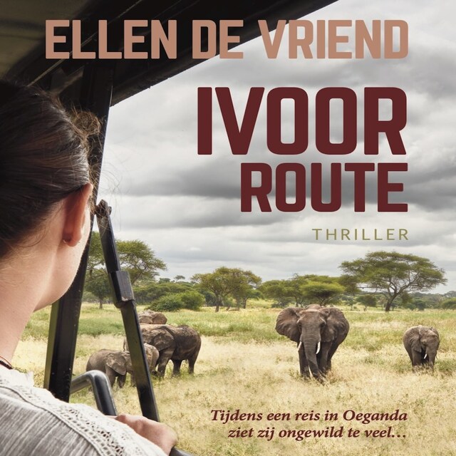 Book cover for Ivoorroute
