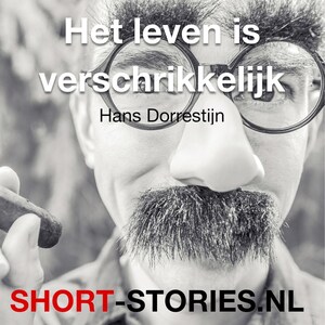 Het leven is verschrikkelijk - luisterboek